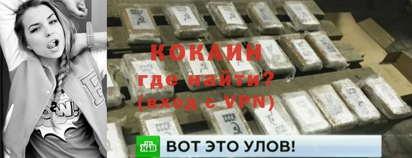 хмурый Абаза