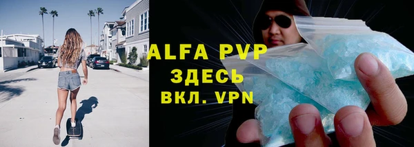хмурый Абаза