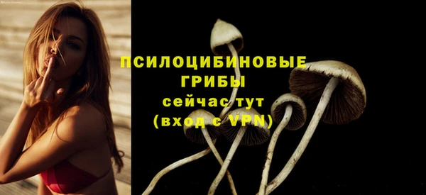ГАЛЛЮЦИНОГЕННЫЕ ГРИБЫ Алексеевка