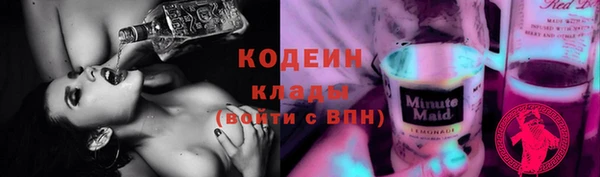 хмурый Абаза