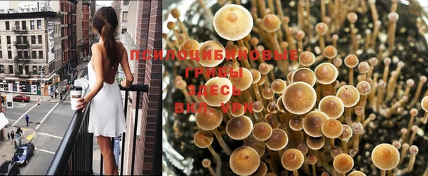 героин Абинск