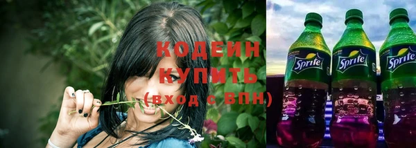 хмурый Абаза
